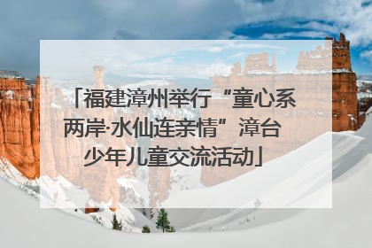 福建漳州举行“童心系两岸·水仙连亲情”漳台少年儿童交流活动