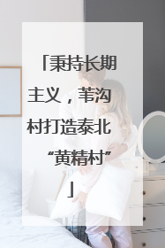 秉持长期主义，苇沟村打造泰北“黄精村”