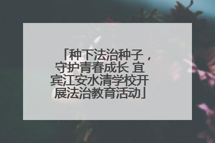 种下法治种子，守护青春成长 宜宾江安水清学校开展法治教育活动