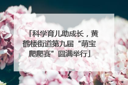 科学育儿助成长，黄鹤楼街道第九届“萌宝爬爬赛”圆满举行
