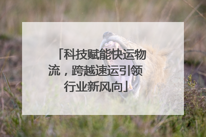 科技赋能快运物流，跨越速运引领行业新风向