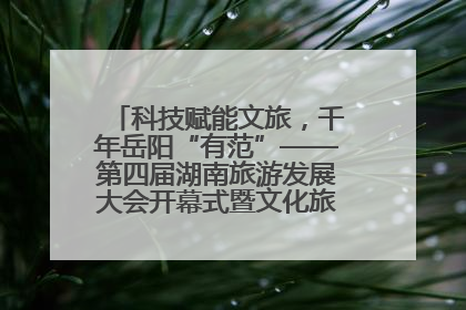 科技赋能文旅，千年岳阳“有范”——第四届湖南旅游发展大会开幕式暨文化旅游推介会侧记