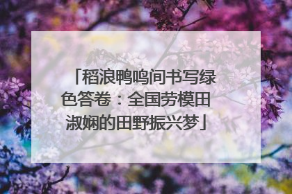 稻浪鸭鸣间书写绿色答卷：全国劳模田淑娴的田野振兴梦