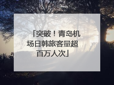 突破！青岛机场日韩旅客量超百万人次
