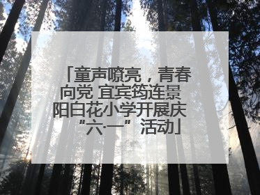 童声嘹亮，青春向党 宜宾筠连景阳白花小学开展庆“六·一”活动