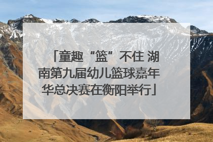 童趣“篮”不住 湖南第九届幼儿篮球嘉年华总决赛在衡阳举行