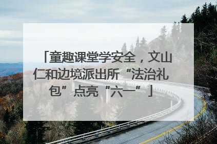 童趣课堂学安全，文山仁和边境派出所“法治礼包”点亮“六一”