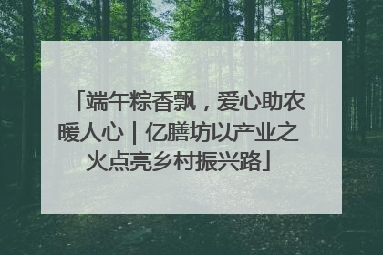 端午粽香飘，爱心助农暖人心｜亿膳坊以产业之火点亮乡村振兴路