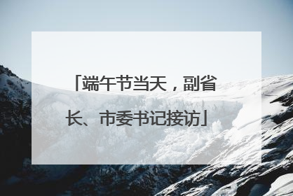 端午节当天，副省长、市委书记接访