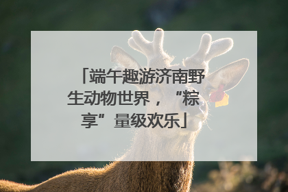 端午趣游济南野生动物世界，“粽享”量级欢乐