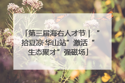 第三届海右人才节｜“拾夏凉·华山站”激活“生态聚才”强磁场