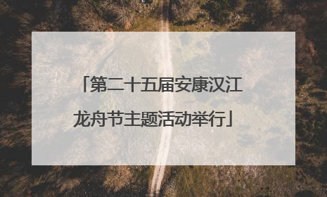 第二十五届安康汉江龙舟节主题活动举行