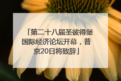 第二十八届圣彼得堡国际经济论坛开幕，普京20日将致辞