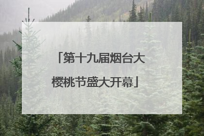 第十九届烟台大樱桃节盛大开幕