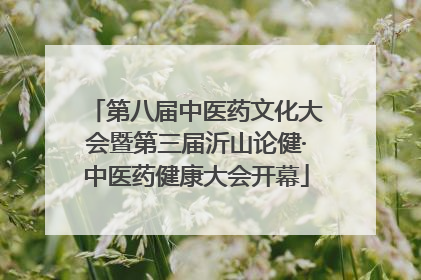 第八届中医药文化大会暨第三届沂山论健·中医药健康大会开幕