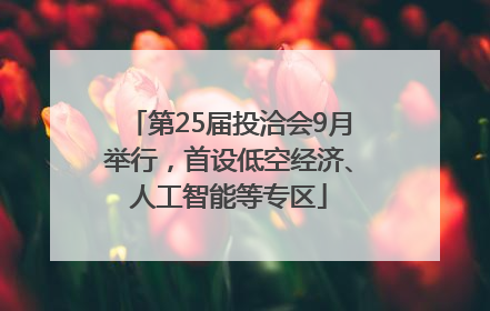 第25届投洽会9月举行，首设低空经济、人工智能等专区