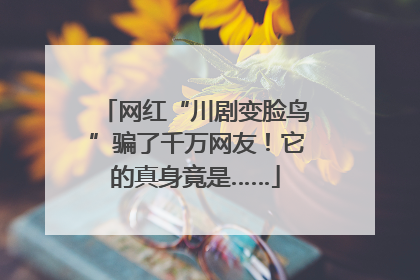 网红“川剧变脸鸟”骗了千万网友！它的真身竟是……