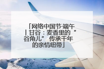 网络中国节·端午丨甘谷：麦香里的“谷角儿” 传承千年的亲情纽带