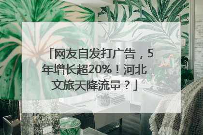 网友自发打广告，5年增长超20%！河北文旅天降流量？