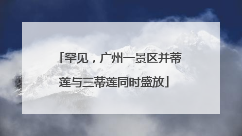 罕见，广州一景区并蒂莲与三蒂莲同时盛放