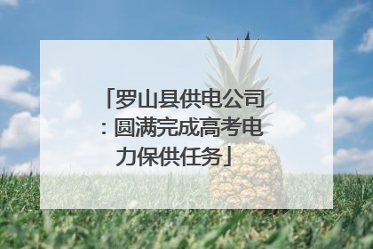 罗山县供电公司：圆满完成高考电力保供任务