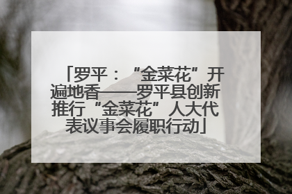 罗平：“金菜花”开遍地香——罗平县创新推行“金菜花”人大代表议事会履职行动