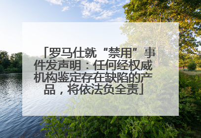 罗马仕就“禁用”事件发声明：任何经权威机构鉴定存在缺陷的产品，将依法负全责