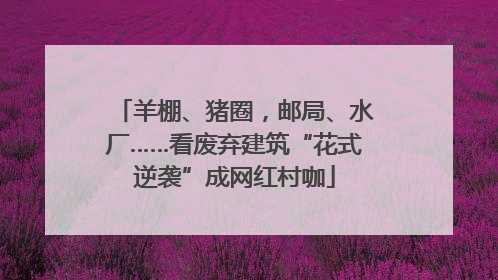 羊棚、猪圈，邮局、水厂……看废弃建筑“花式逆袭”成网红村咖