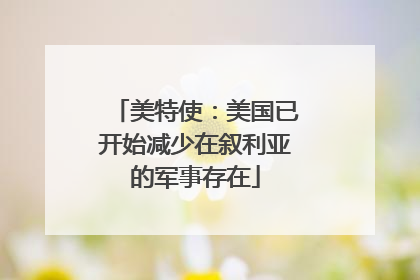 美特使：美国已开始减少在叙利亚的军事存在