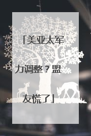 美亚太军力调整？盟友慌了
