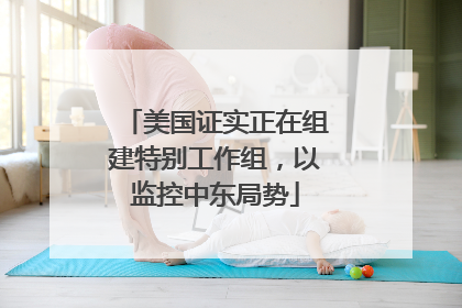 美国证实正在组建特别工作组，以监控中东局势
