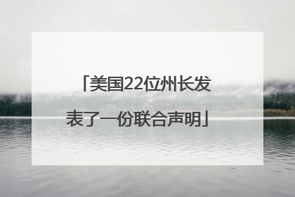美国22位州长发表了一份联合声明