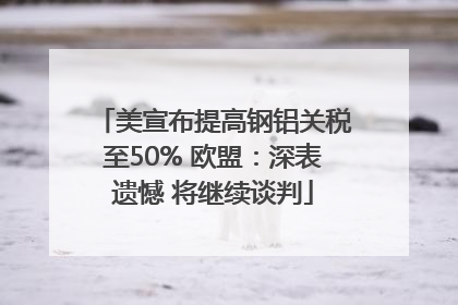 美宣布提高钢铝关税至50% 欧盟：深表遗憾 将继续谈判