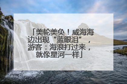 美轮美奂！威海海边出现“蓝眼泪”，游客：海浪打过来，就像星河一样
