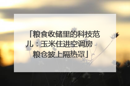 粮食收储里的科技范儿：玉米住进空调房 粮仓披上隔热罩