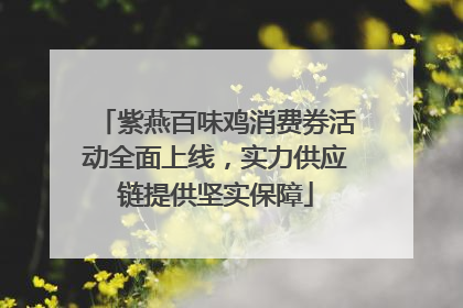 紫燕百味鸡消费券活动全面上线，实力供应链提供坚实保障