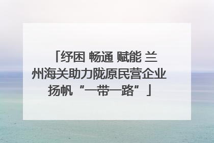 纾困 畅通 赋能 兰州海关助力陇原民营企业扬帆“一带一路”