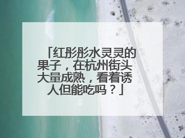 红彤彤水灵灵的果子，在杭州街头大量成熟，看着诱人但能吃吗？
