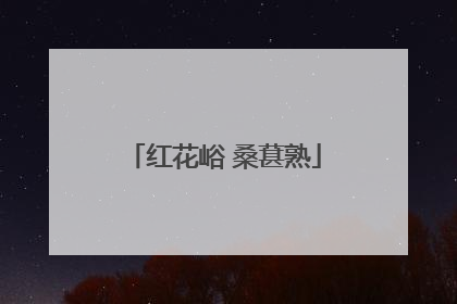 红花峪 桑葚熟