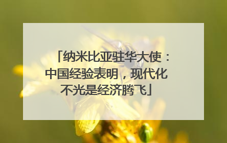 纳米比亚驻华大使：中国经验表明，现代化不光是经济腾飞