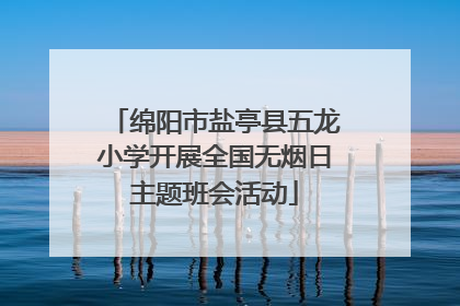 绵阳市盐亭县五龙小学开展全国无烟日主题班会活动