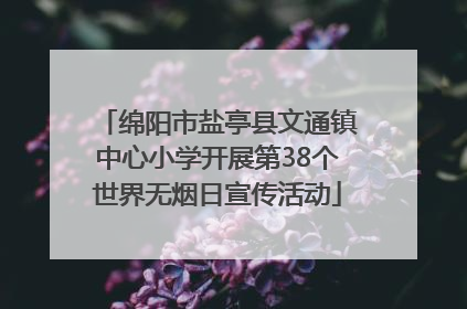 绵阳市盐亭县文通镇中心小学开展第38个世界无烟日宣传活动