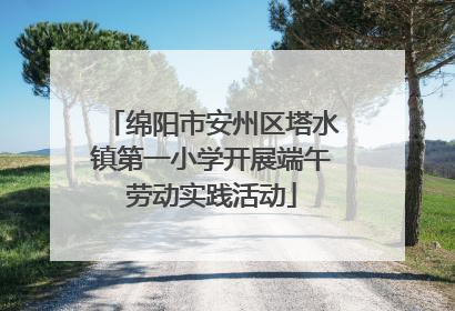 绵阳市安州区塔水镇第一小学开展端午劳动实践活动