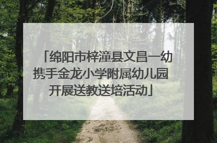 绵阳市梓潼县文昌一幼携手金龙小学附属幼儿园开展送教送培活动