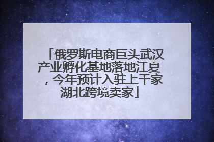 俄罗斯电商巨头武汉产业孵化基地落地江夏，今年预计入驻上千家湖北跨境卖家