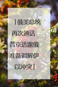 俄美总统再次通话 普京透露俄准备调解伊以冲突
