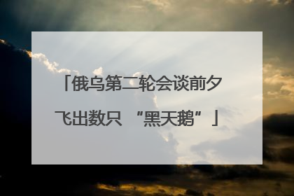 俄乌第二轮会谈前夕 飞出数只 “黑天鹅”