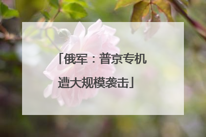 俄军：普京专机遭大规模袭击