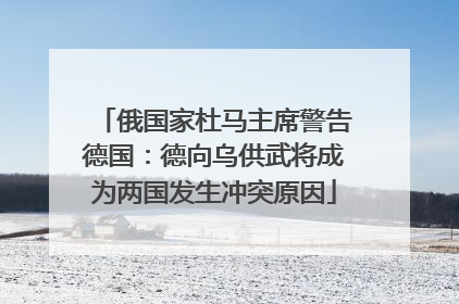 俄国家杜马主席警告德国：德向乌供武将成为两国发生冲突原因