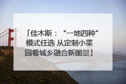 佳木斯：“一地四种” 模式任选 从定制小菜园看城乡融合新图景